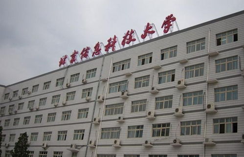 青春奉獻，科技賦能——記北京信息科技大學青年志愿者協會的信息技術咨詢志愿服務